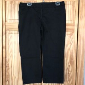 Express Columnist Cropped Pants